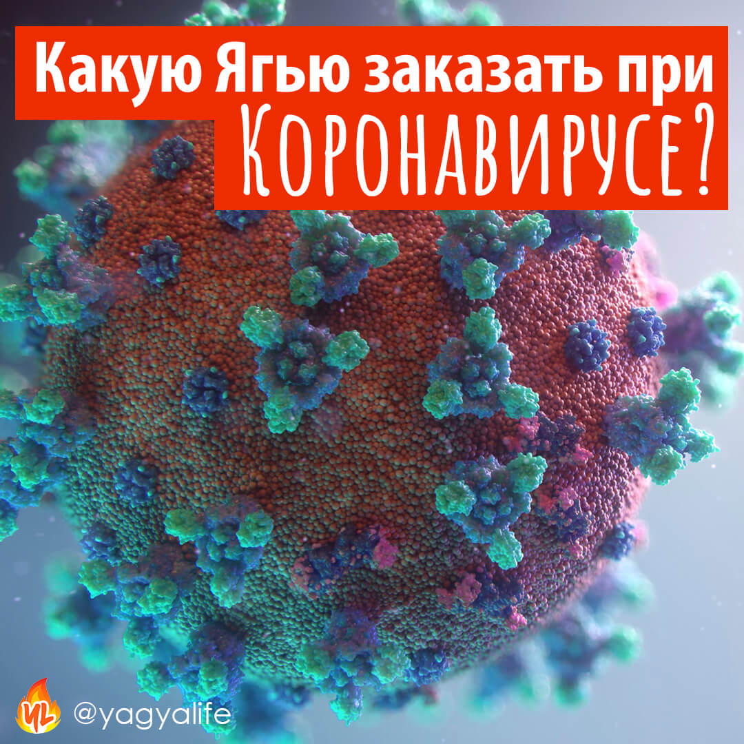Какую Ягью проводят при коронавирусе?
