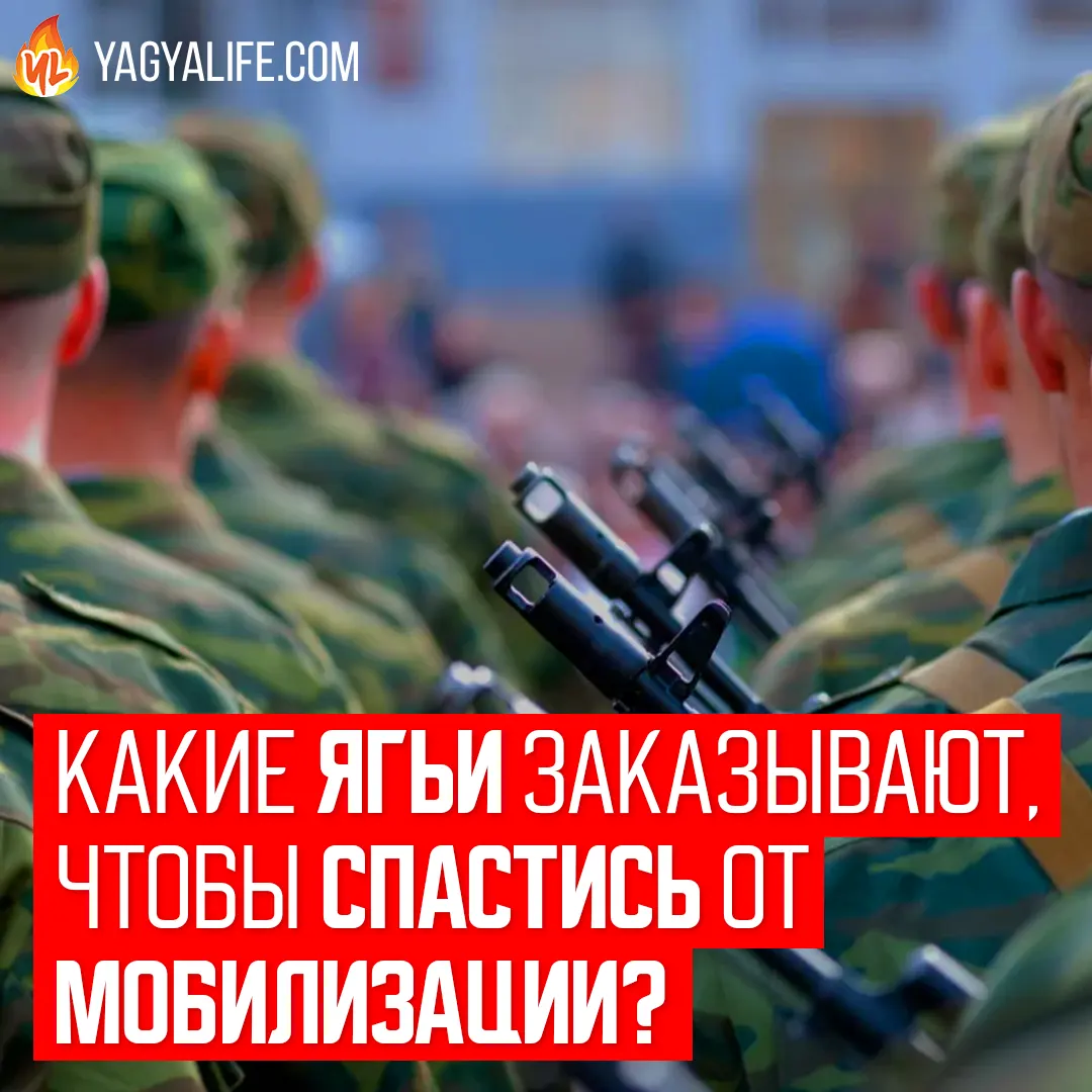 Какие Ягьи сейчас заказывают, чтобы спастись от мобилизации?